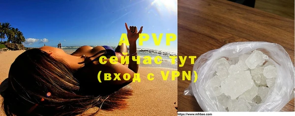 спайс Богданович