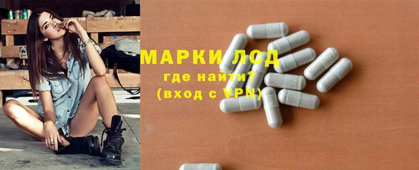 крисы Богородицк