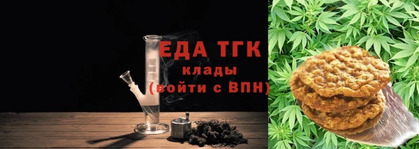 тгк Бородино