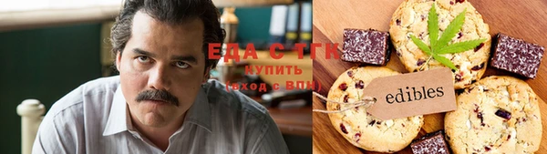 тгк Бородино