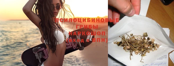 крисы Богородицк