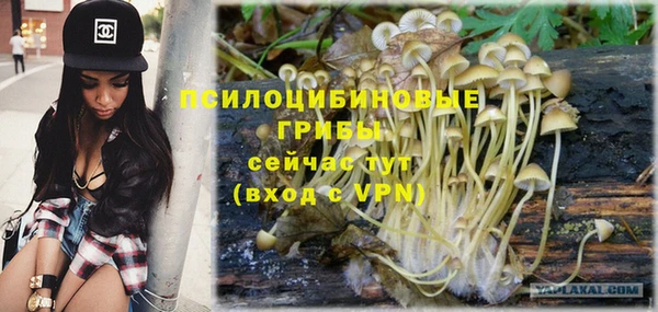 MDMA Богородск
