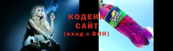 крисы Богородицк