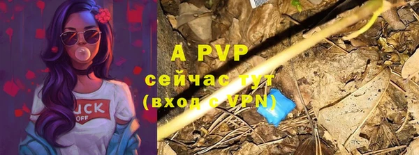 PSILOCYBIN Бронницы