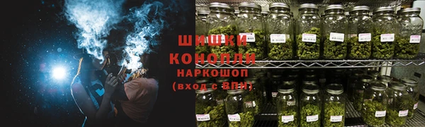 PSILOCYBIN Бронницы