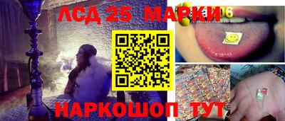 спиды Аргун