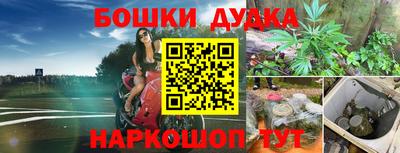 спиды Аргун