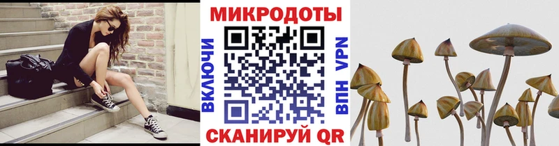 Галлюциногенные грибы мухоморы  мориарти состав  Дальнегорск 