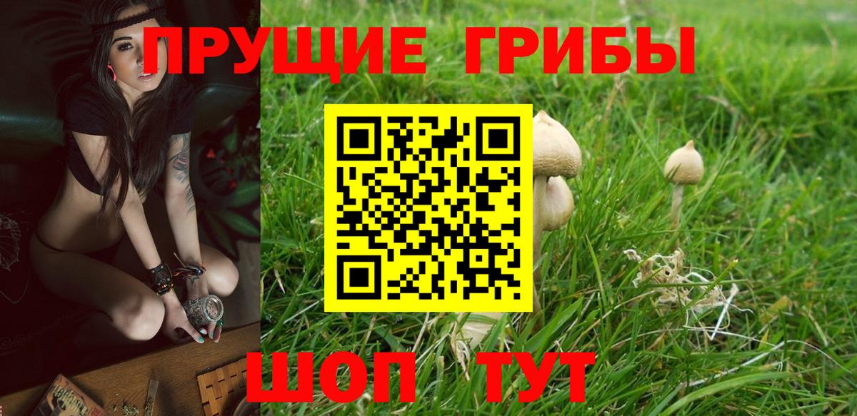 Дальнегорск  Галлюциногенные грибы мухоморы  Вход с VPN 
